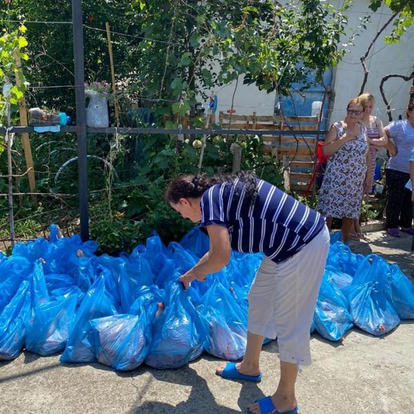 116720078_1483638555176506_3777202697957416491_n