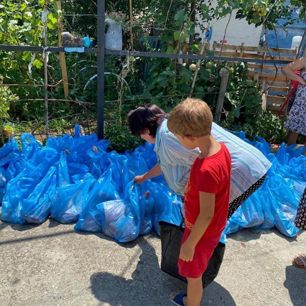 116911634_1483638505176511_3248578444517746445_n